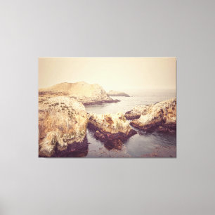 Point Lobos Coast Canvas Print