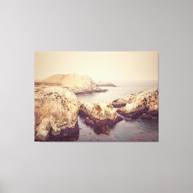 Point Lobos Coast Canvas Print (Front)
