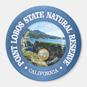 Point Lobos SNR Magnet