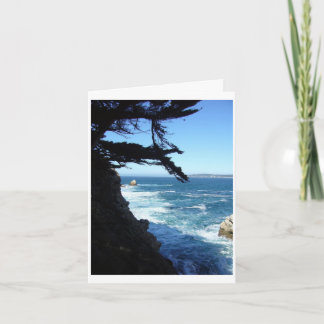 Point Lobos Thank You Card