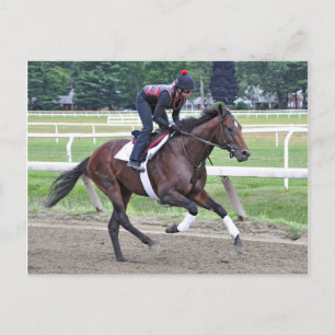 "Point of Entry" Champion Turf Horse Postcard