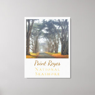 Point Reyes  Canvas Print