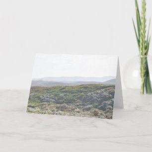 Point Reyes Hillside - Greeting Card