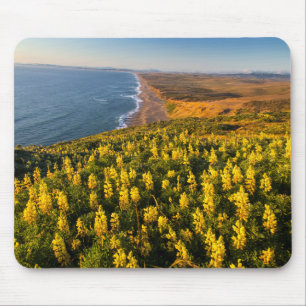 Point Reyes National Seashore California Mouse Mat