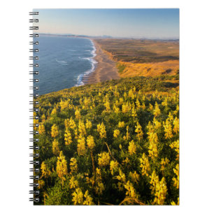Point Reyes National Seashore California Notebook
