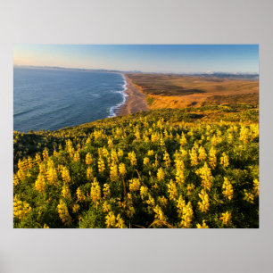 Point Reyes National Seashore California Poster