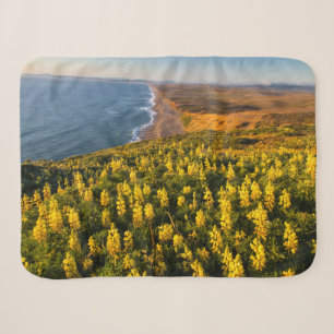Point Reyes National Seashore California Sherpa Blanket