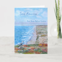 Point Reyes National Seashore