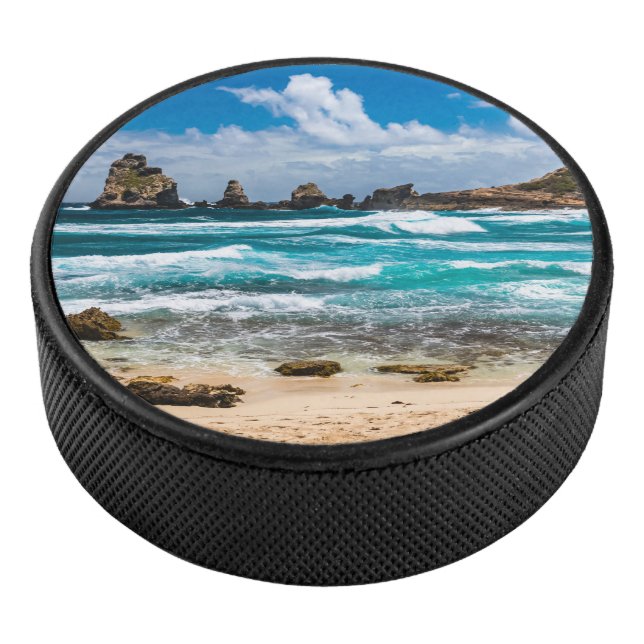 Pointe des Chateaux, Grande-Terre, Guadeloupe Hockey Puck (3/4)