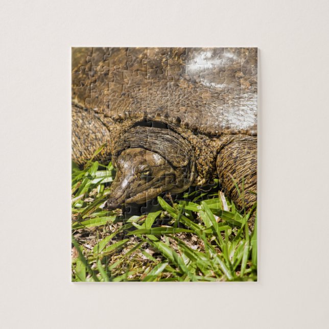 Pointed Long Nose Florida Softshell Turtle Jigsaw Puzzle (Vertical)
