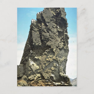Pointed rock detail, Bartolome Island, Galapagos I Postcard