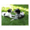 Pointer and Setter Love