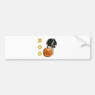 Pointer (Black Coated)  Boo Bumper Sticker
