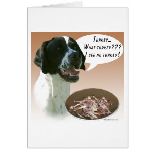 Pointer (black) Turkey
