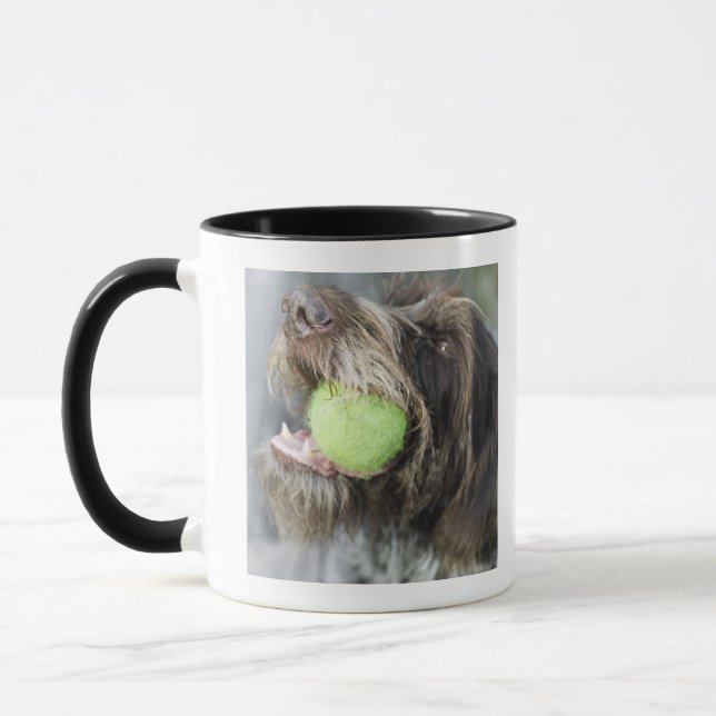 Pointer dog biting tennis ball, close-up mug (Left)