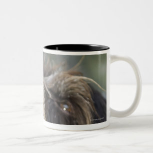 Pointer dog biting tennis ball, close-up Two-Tone coffee mug