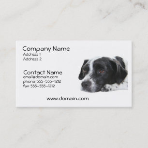 Pointer Dog Business Card