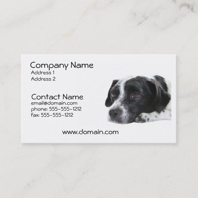 Pointer Dog Business Card (Front)