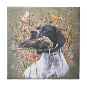 Pointer,  Hunting Woodcock   Tile