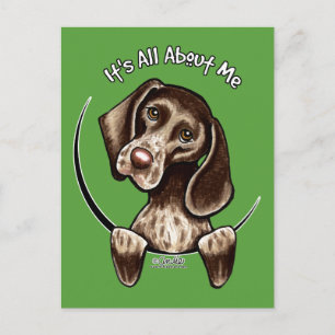 Pointer IAAM Postcard