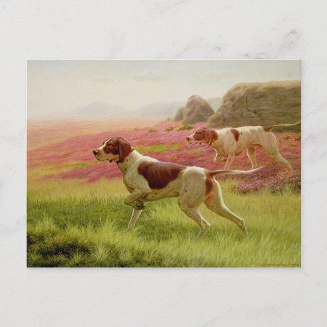 Pointers in a Landscape, 19th century Postcard (Front)