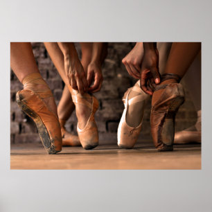 Pointes on a Spectrum Poster