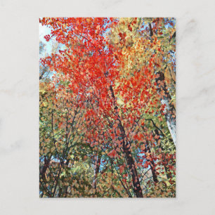 pointillism forest postcard