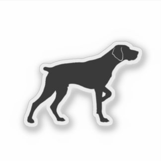 Pointing German Shorthaired Pointer