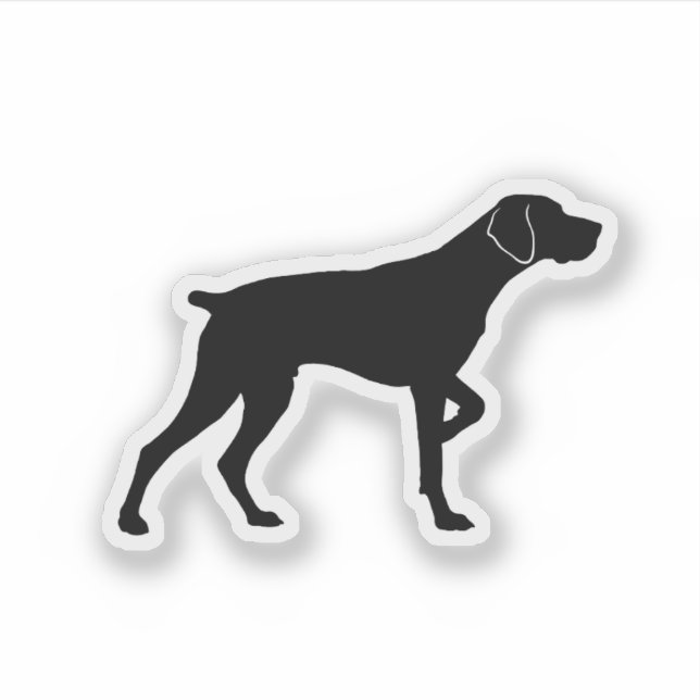 Pointing German Shorthaired Pointer (Front)
