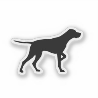 Pointing Pointer Dog