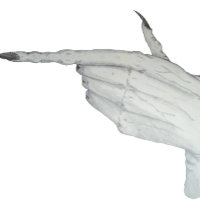 Pointing scary monster gnarled hand fun slogan