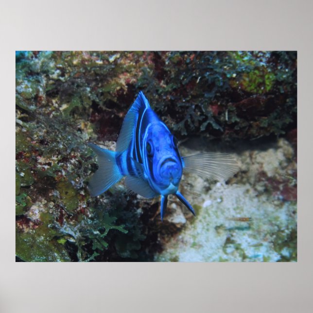 Pointing the Way Poster (Front)