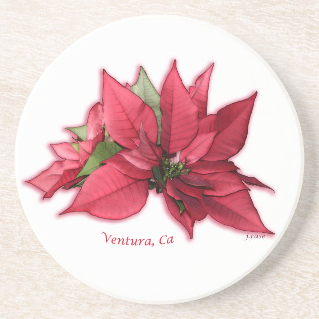 Pointsettia Sandstone Drink Coaster (Front)