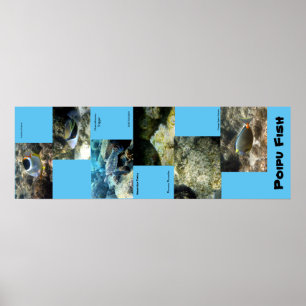 Poipu Fish Poster