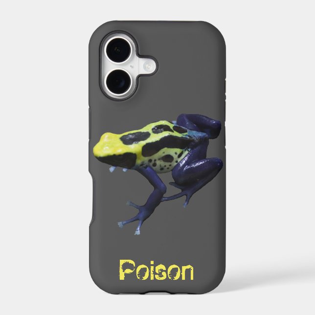Poison Dart Frog (Back)