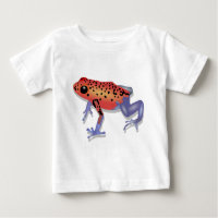 Poison Dart Frog