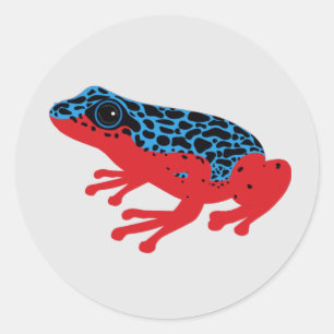 Poison Dart Frog Classic Round Sticker