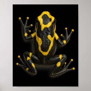 Poison Dart Frog Climbing Design Realistic Jungle  Poster