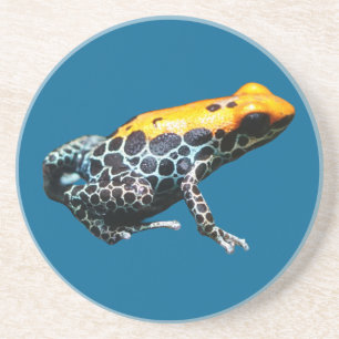 Poison Dart Frog Coaster