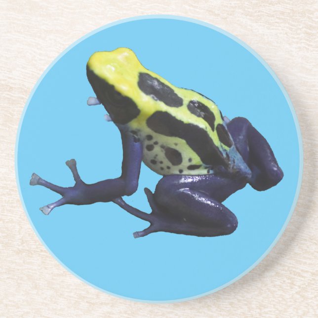Poison Dart Frog Coaster (Front)