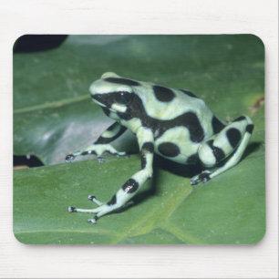 Poison Dart Frog, (Dendrobates auratus) Cahuita Mouse Mat
