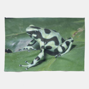 Poison Dart Frog, (Dendrobates auratus) Cahuita Tea Towel