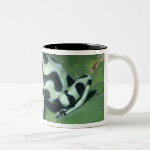 Poison Dart Frog, (Dendrobates auratus) Cahuita Two-Tone Coffee Mug