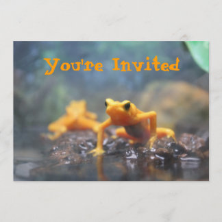 Poison Dart Frog Invitation