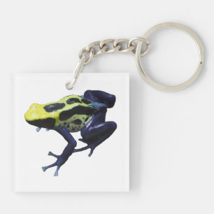 Poison Dart Frog Key Ring