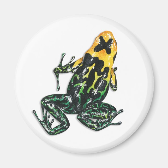 Poison Dart Frog Magnet (Front)