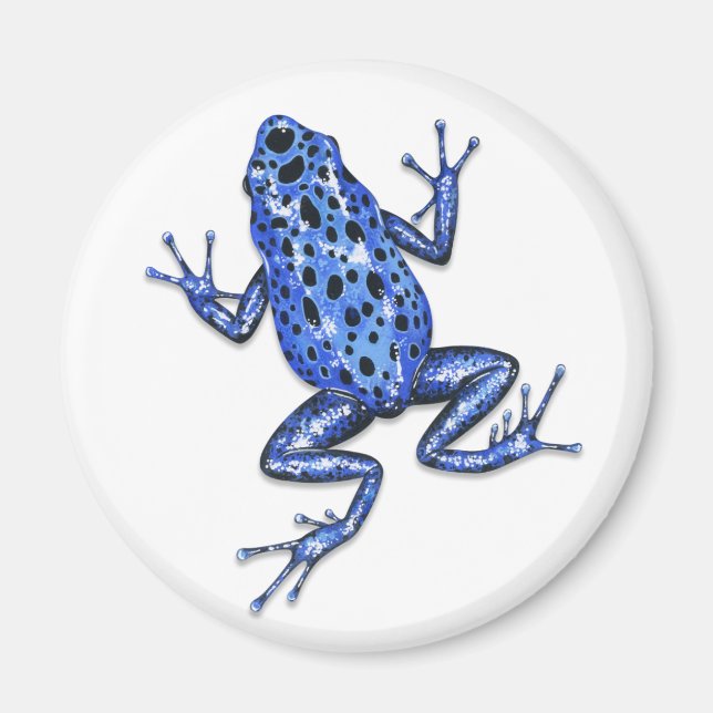 Poison Dart Frog Magnet (Front)