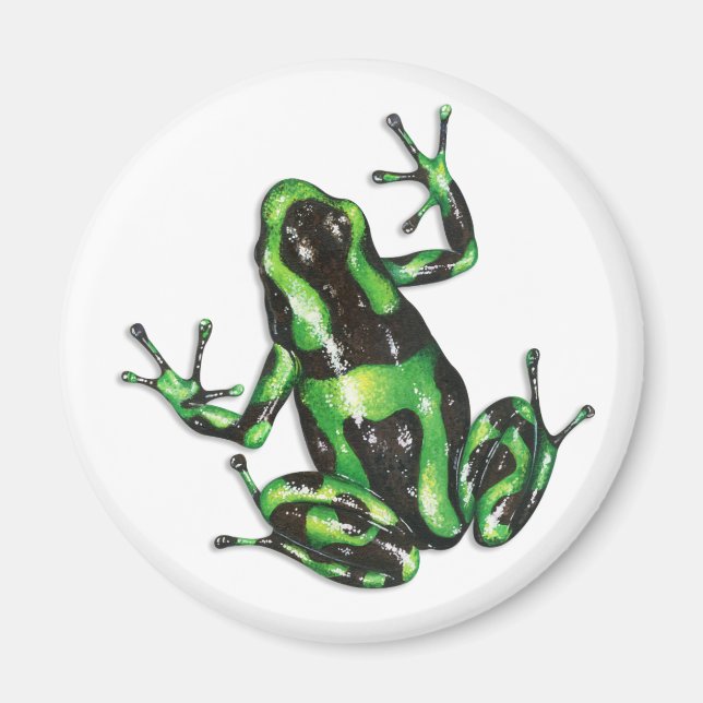 Poison Dart Frog Magnet (Front)