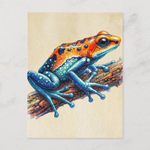 Poison Dart Frog Orange Blue Postcard