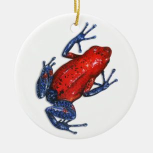 Poison Dart Frog Ornament